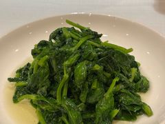 酒香豆苗-老吉士酒家(天平路店)