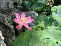 -莲池书院博物馆