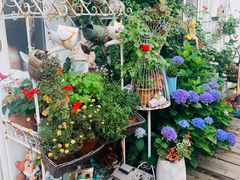 -荒度咖啡(北九水店)