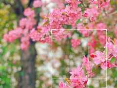 -郑州中国绿化博览园