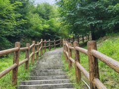 -白水寺森林公园