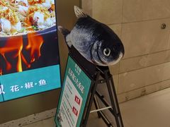 -青花椒花椒鱼(合生汇店)