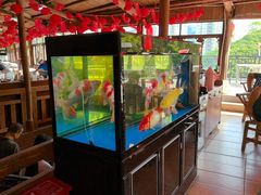 -鲤鱼塘农家山庄