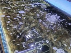 -聚盛源蒸汽海鲜火锅烤肉自助(巨川金海岸购物广场店)