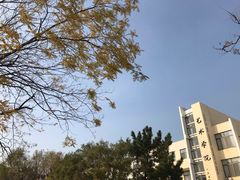 -山东大学(威海校区)