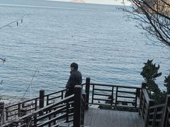 -棒棰岛宾馆景区