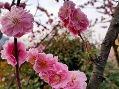 -唐城墙遗址公园