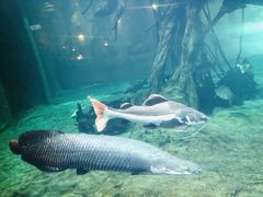 -华夏文旅海洋公园