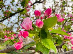 -元大都城垣遗址公园