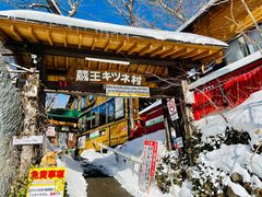 -宫城藏王狐狸村