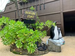 -新加坡飞禽公园
