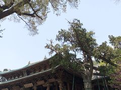-晋祠公园