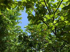 -西安汉城湖景区