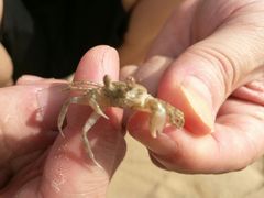 -普陀山风景名胜区-千步大沙