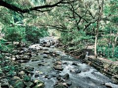 -广州市石门国家森林公园