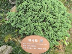 -上海方塔园