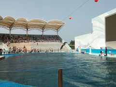 -北戴河圣蓝海洋公园