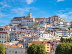 -阿拉提大盘鸡@米饭(南环东路汇邻广场店)