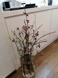 -YESIDO椰岛造型