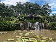 -中国科学院西双版纳热带植物园