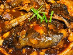 -金掌勺东北菜(格兰晴天店)