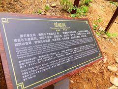 -皇藏峪国家森林公园