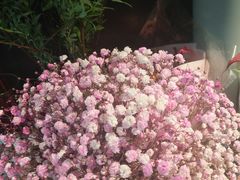 -海底捞火锅(高科广场店)