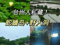 -杨记海鲜楼(三门黑金冠店)