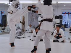 -极真空手道修远道场