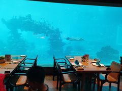 -海棠湾洲际-涛·海底餐厅·美人鱼·自助餐·海底隧道