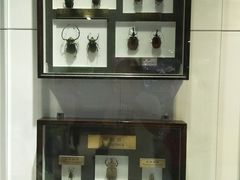 -上海昆虫博物馆