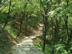 android_upload_pic-阳台山自然风景区