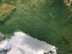 -白云源风景区