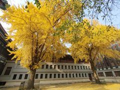 -国家图书馆·古籍馆