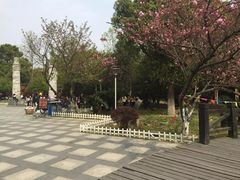 -峙山公园