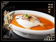 -骏莱海鲜鱼港(五角场店)