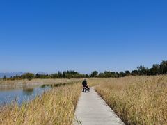 -野鸭湖国家湿地公园