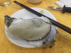 -蚝专家(北滘店)