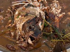 -庆岭迎宾园正宗活鱼馆