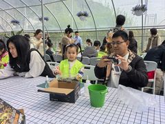 -嘉北郊野公园