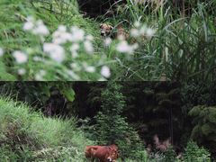 -公盂村