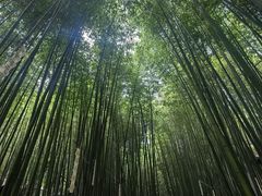 -竹泉村旅游度假区