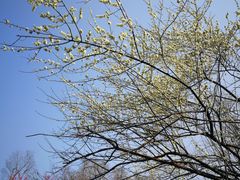 -三圣花乡旅游区