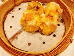 -美心皇宫(沙田大会堂店)