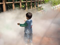 -郑州方特梦幻王国