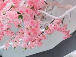 -梵茜儿·头道汤养生馆
