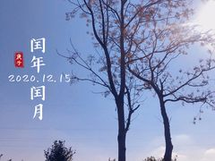 -良渚古城遗址公园