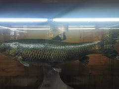 -南京金牛湖风景区