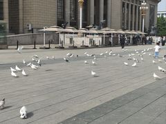 -石饮红星包子(中山路店)