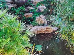 -聚缘·湘味音乐餐厅party(罗湖店)